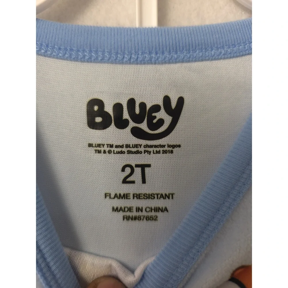 Bluey 2t flame